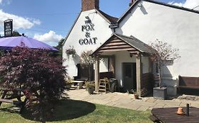 Fox And Goat